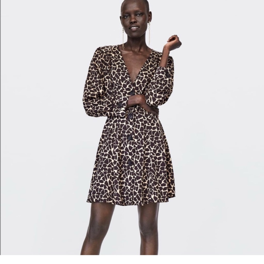 Zara Brown and Black Plunge Neck Bishop Sleeve A-Line Dress
